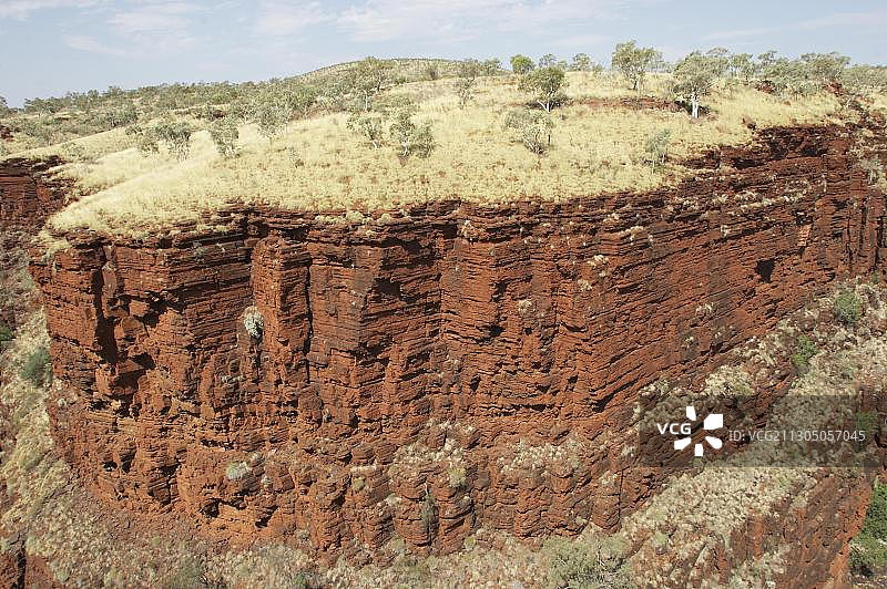 卡里吉尼国家公园皮尔巴拉地区的红色岩石、棘针草和响亮的桉树，西澳大利亚州图片素材
