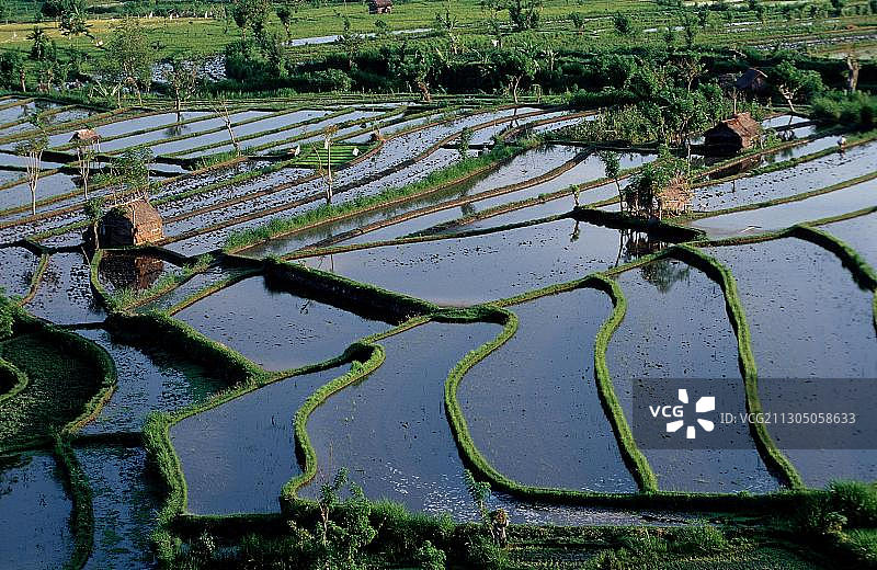 稻田航拍图图片素材