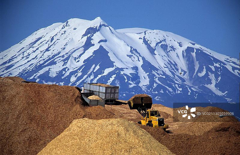 智利蒙特港的港口和出口用木屑图片素材