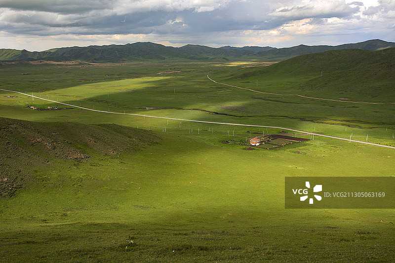 诺尔盖草原的午后图片素材