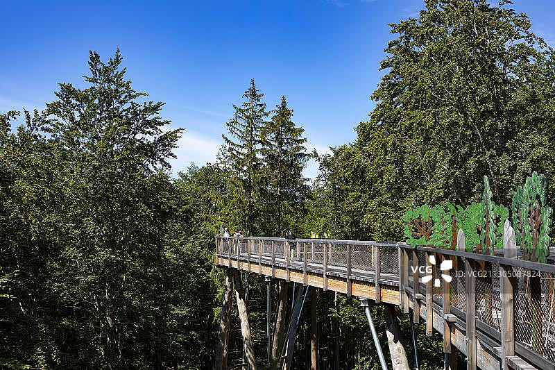 奥地利上奥地利州格蒙登格吕恩贝格的树顶步道图片素材