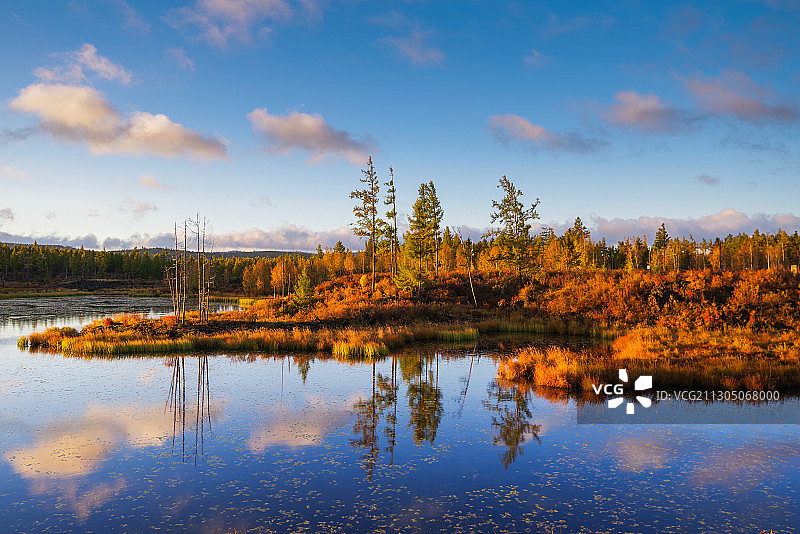 倒影  Reflection图片素材