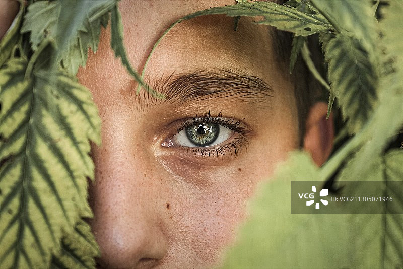 透过树叶看镜头的年轻白人男孩图片素材