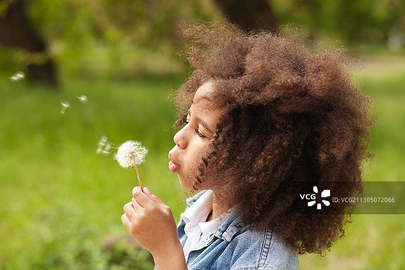 吹蒲公英的可爱小女孩图片素材