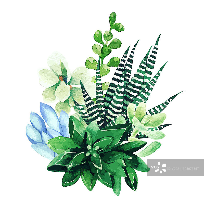 明亮的水彩植物小花束图片素材