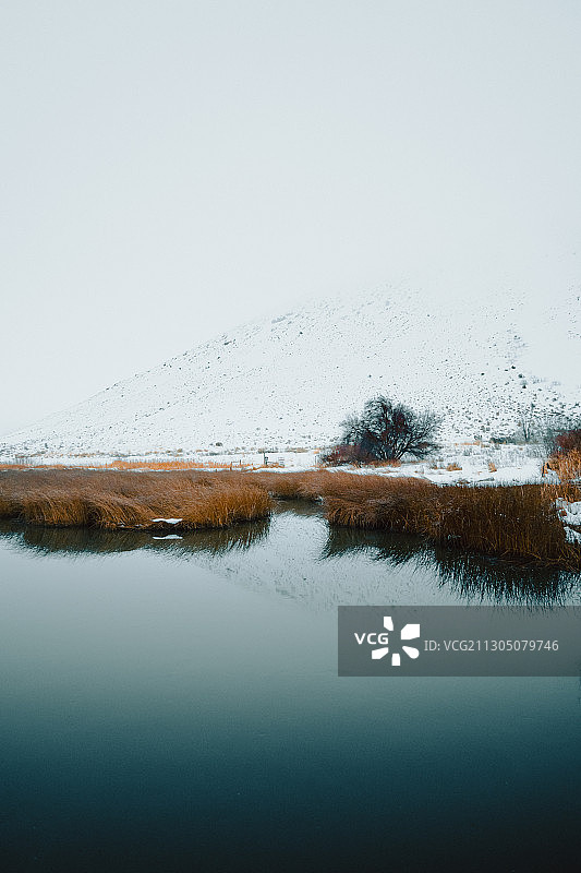 消失在雾中的雪山山峰，美国银溪保护区图片素材