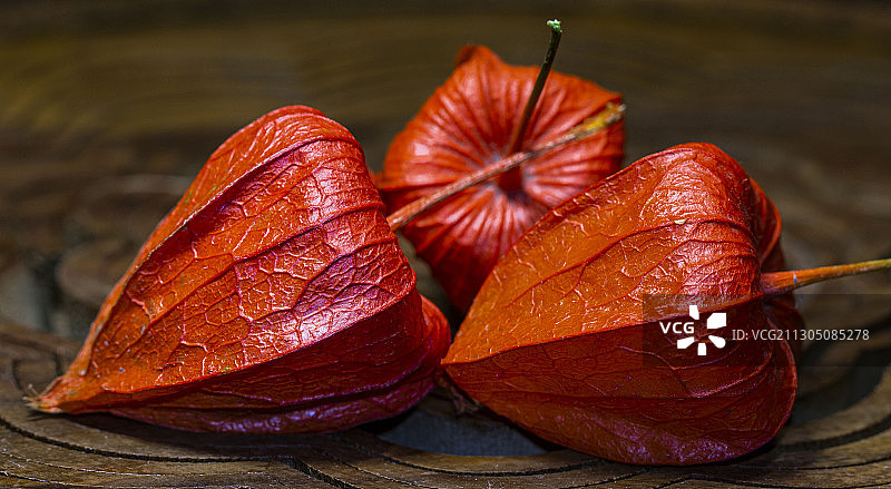 红菇娘II图片素材