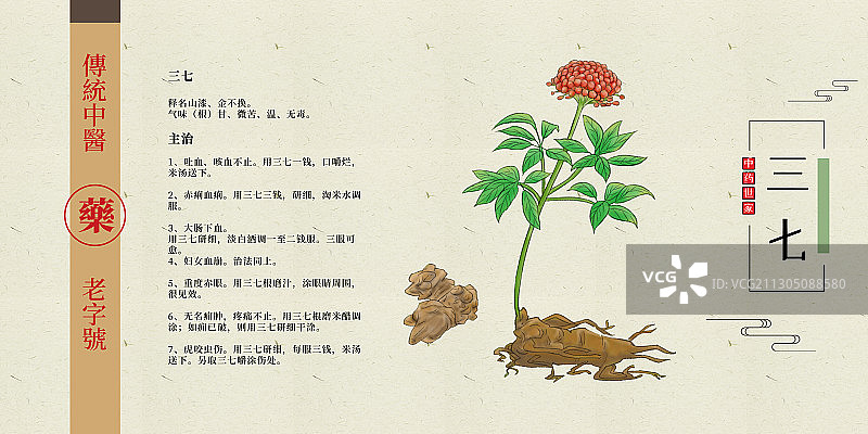 三七图片素材