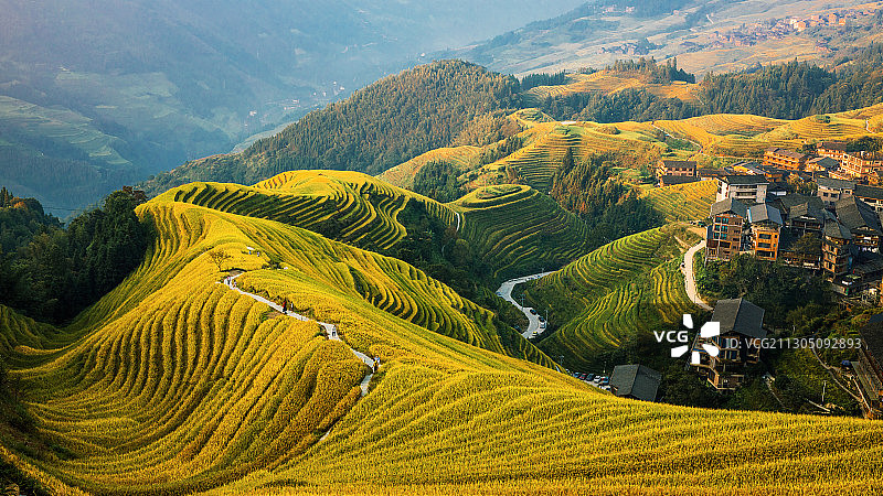 龙脊梯田图片素材