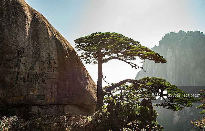 安徽黄山迎客松图片素材