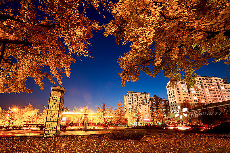夜色斑斓图片素材