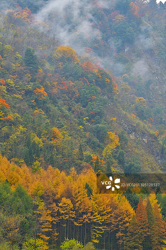 卧龙彩林图片素材