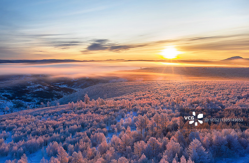 清晨，在北国的林海雪原，朝阳透过林海上的云雾，染红了整个冬天图片素材
