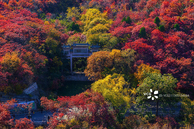 济南红叶谷图片素材