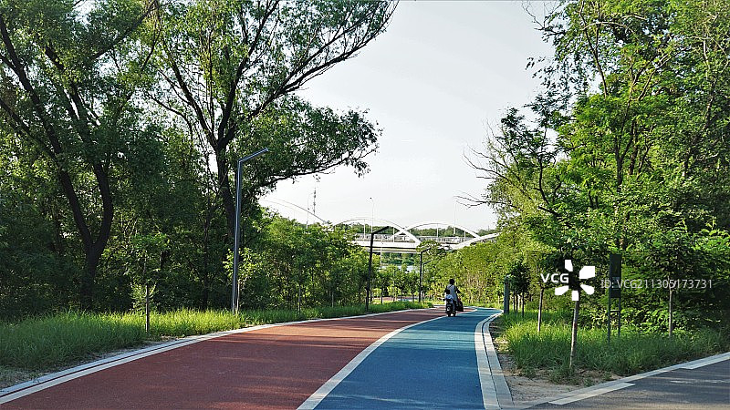 城市绿道图片素材