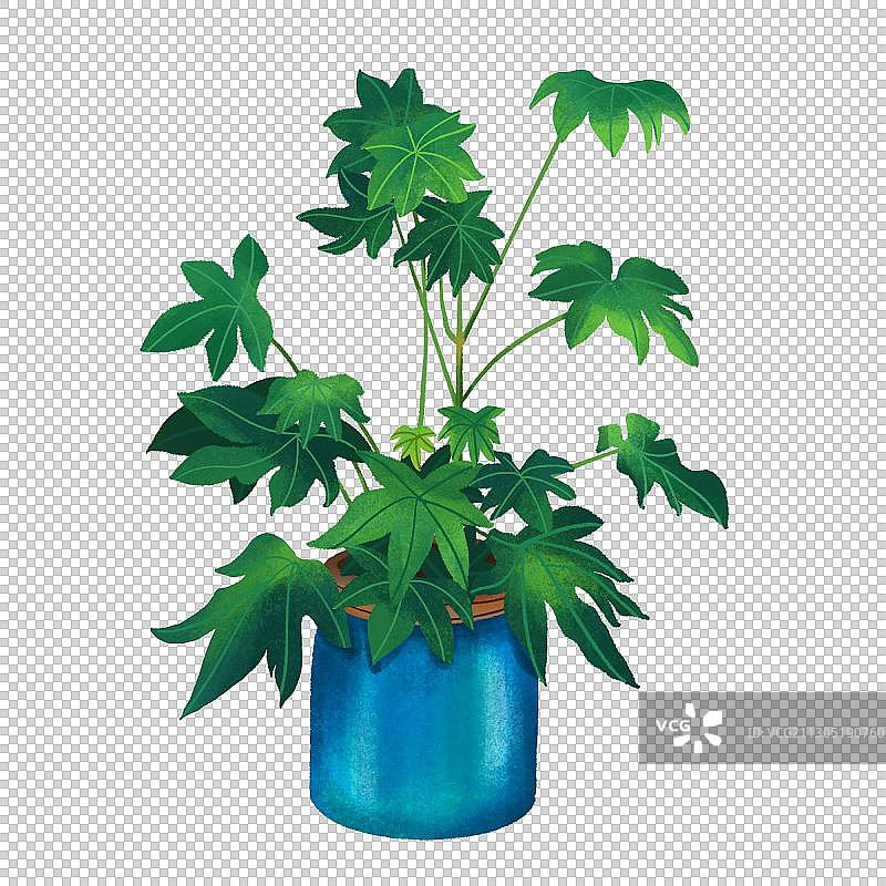 蓝色盆子的盆栽图片素材