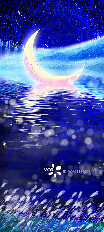 夜晚森林里的月亮插画图片素材