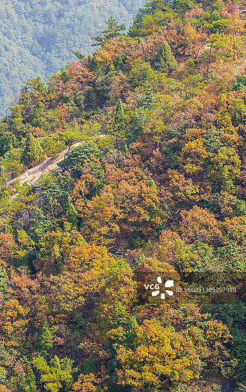 龙须山秋色图片素材