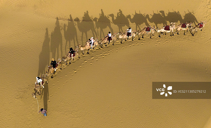 沙漠驼铃图片素材