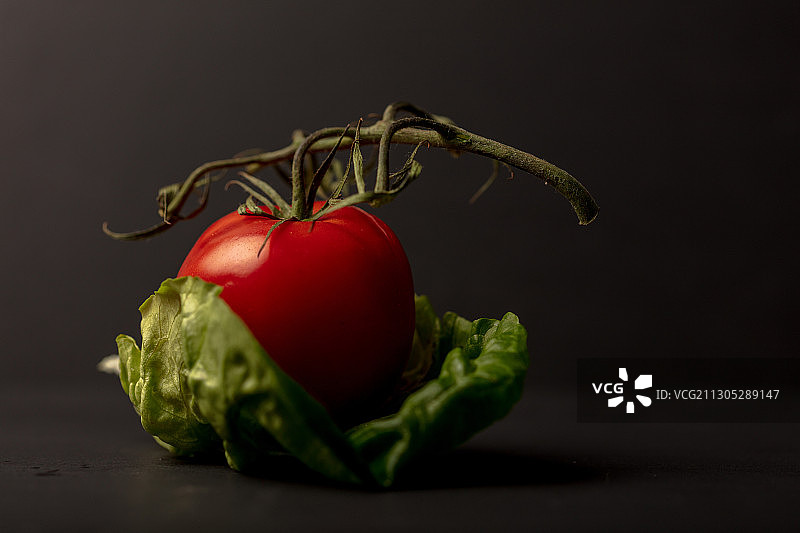 深色背景上的西红柿和生菜静物图片素材