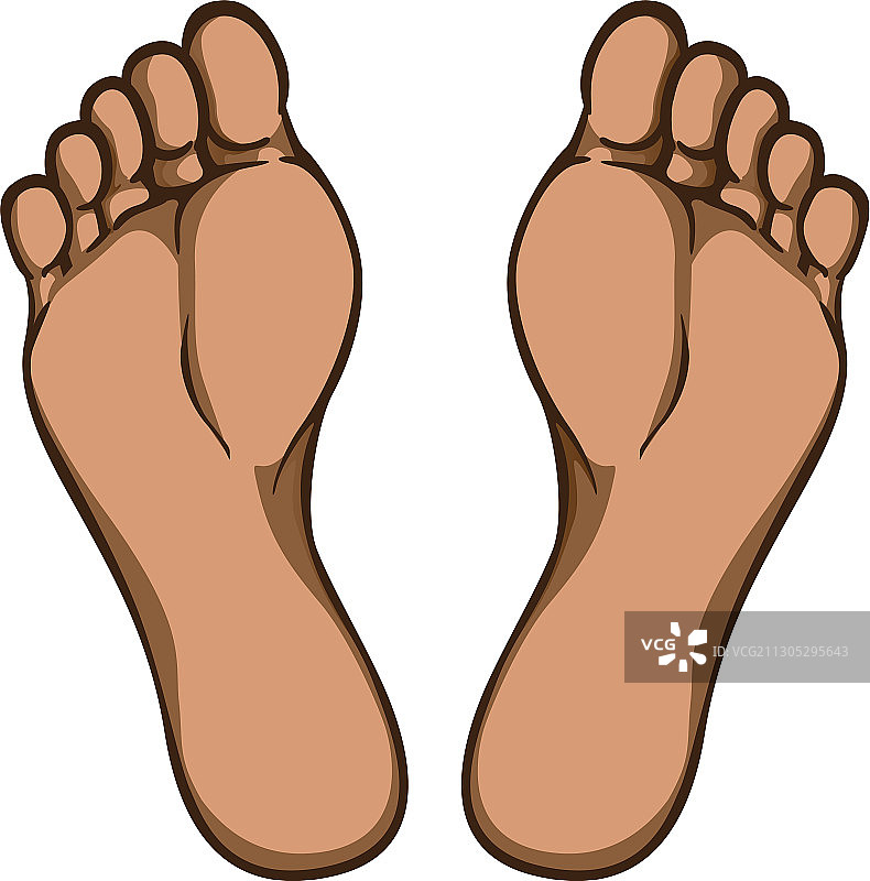 身体部位：植物或脚底，非裔后裔图片素材