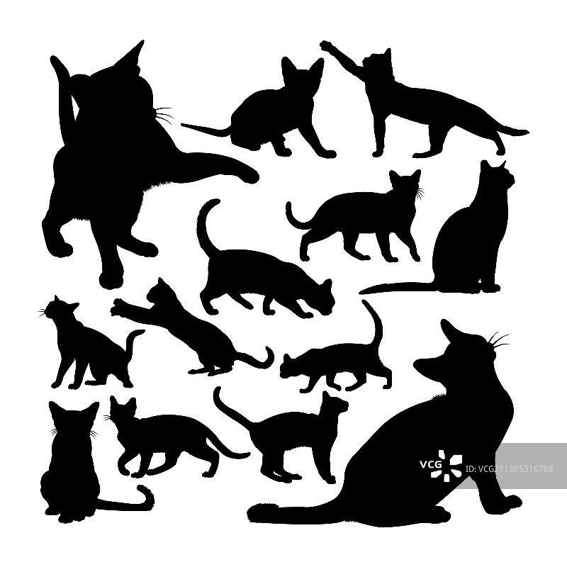 可爱的缅甸猫动物剪影图片素材