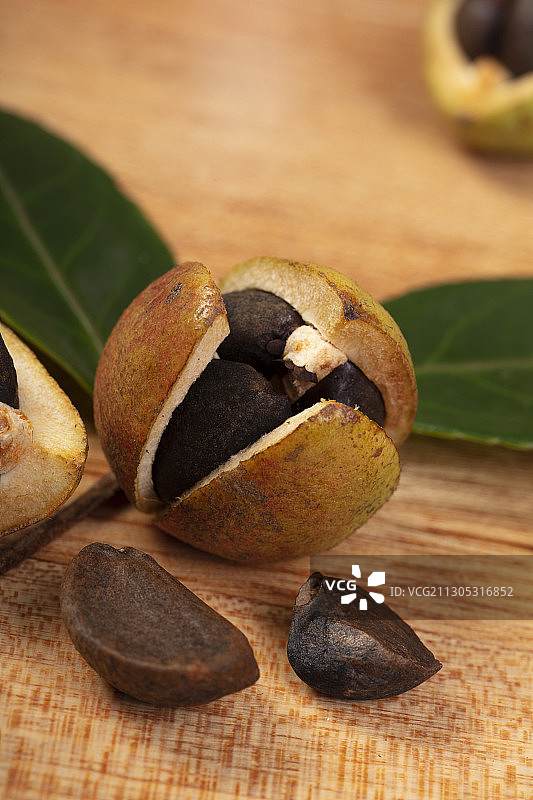 秋天的油茶图片素材