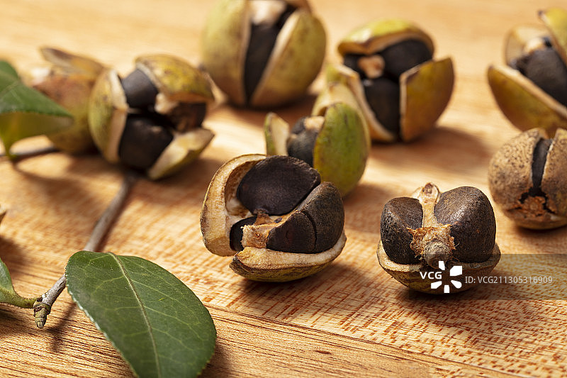 秋天的油茶图片素材