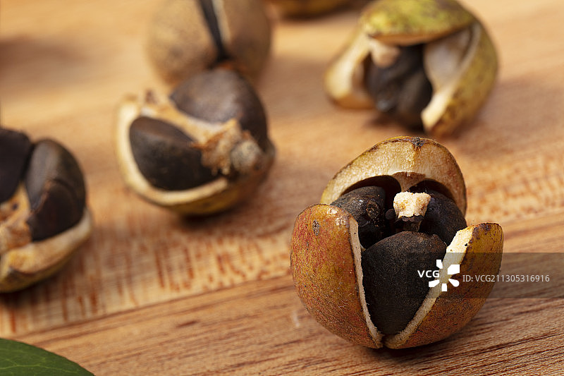 秋天的油茶图片素材