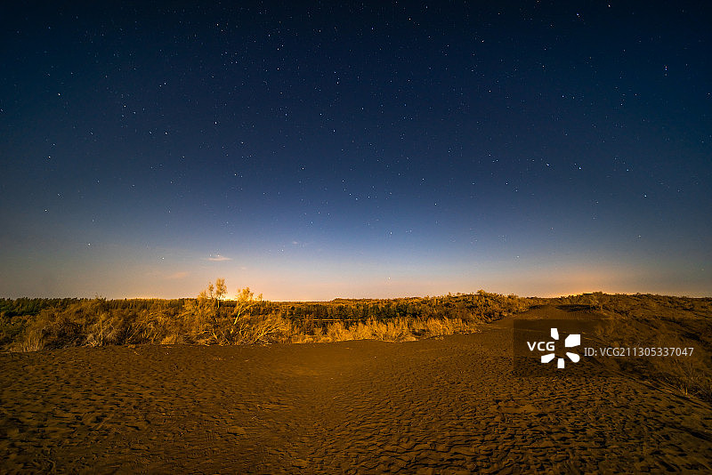 新疆石河子军燕沙漠景区秋季胡杨林沙丘枯木星空夜景高视角图片素材