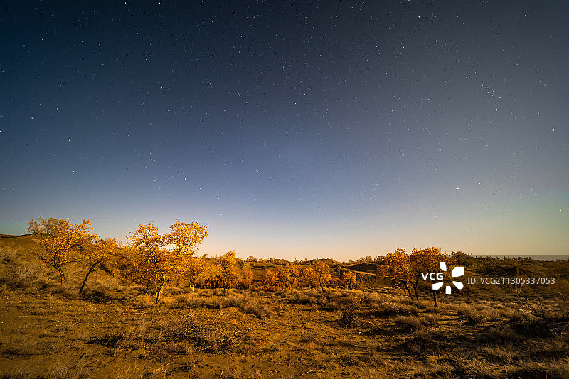 新疆石河子军燕沙漠景区秋季胡杨林沙丘枯木星空夜景高视角图片素材