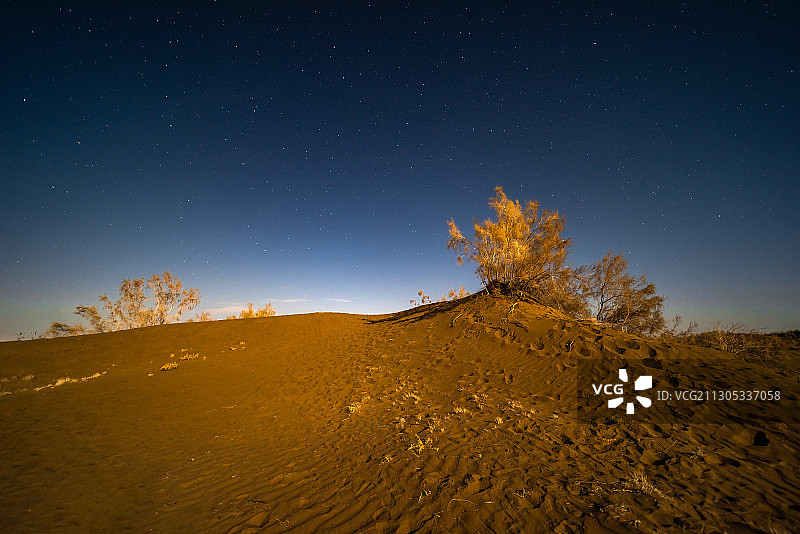 新疆石河子军燕沙漠景区秋季胡杨林沙丘枯木星空夜景高视角图片素材