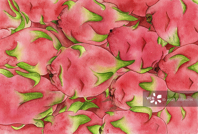 手绘水彩很多水果火龙果素材元素插画图片素材