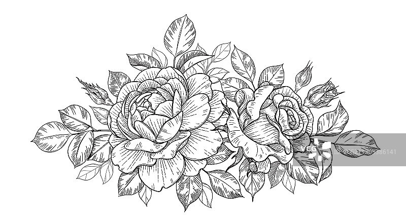 手绘花束玫瑰花蕾叶子图片素材