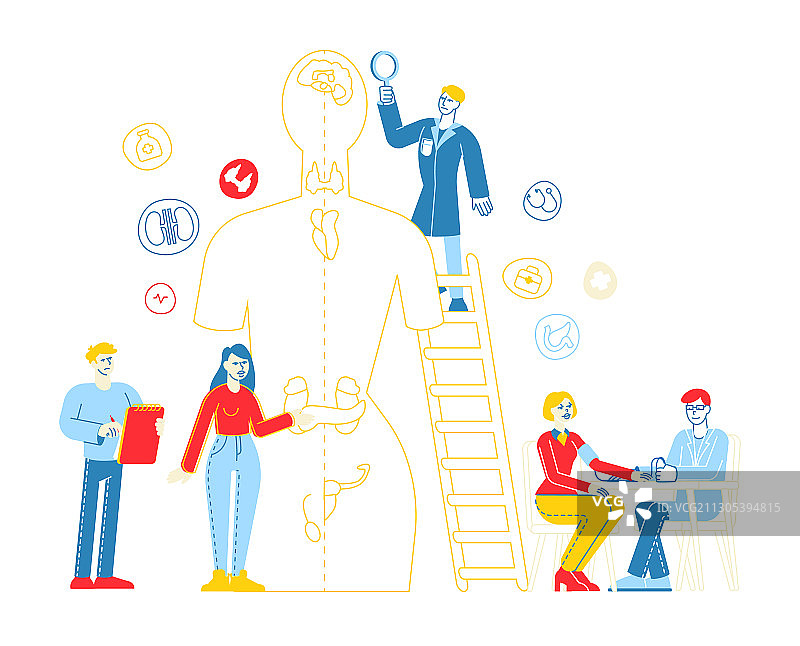 内分泌学激素疾病与失衡图片素材