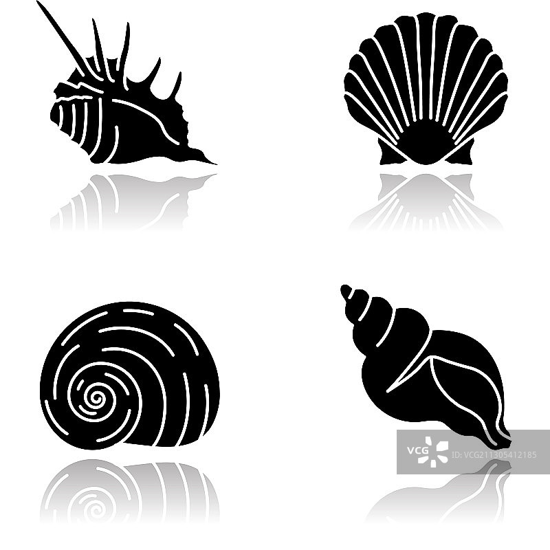 奇异贝壳黑色字形图标（带阴影）图片素材