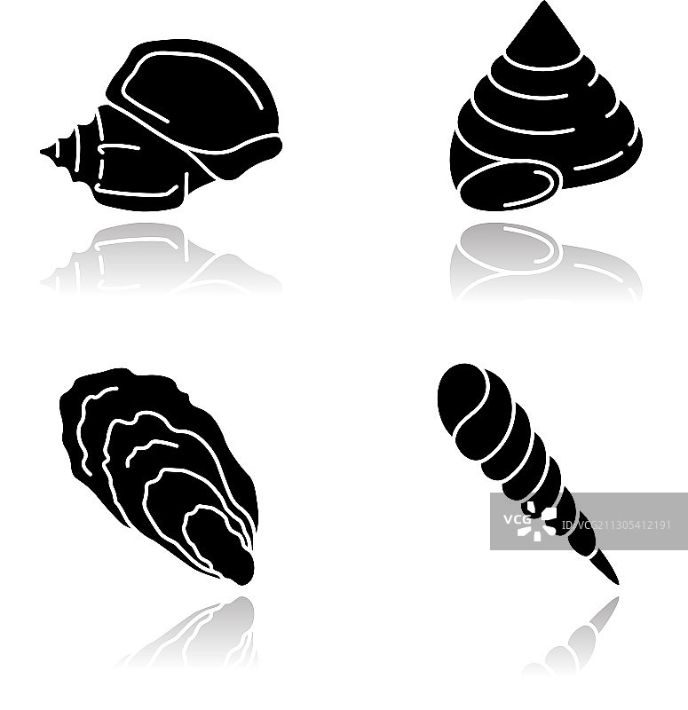 不同形状的贝壳阴影黑色字形图标图片素材