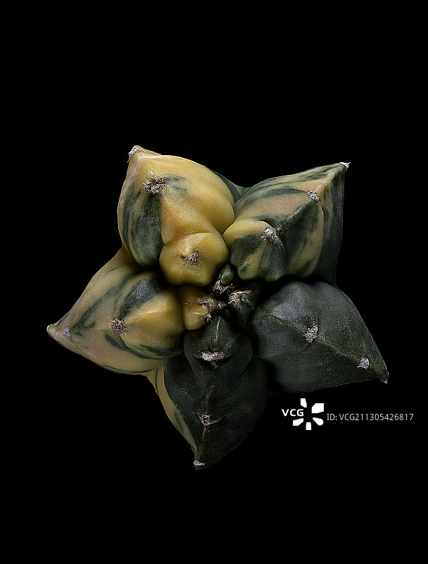 多棱碧琉璃兜图片素材