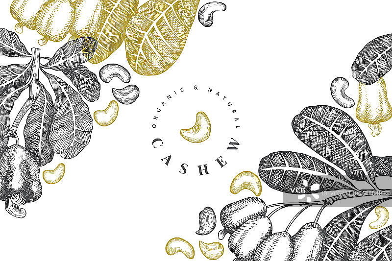 手绘腰果设计模板图片素材