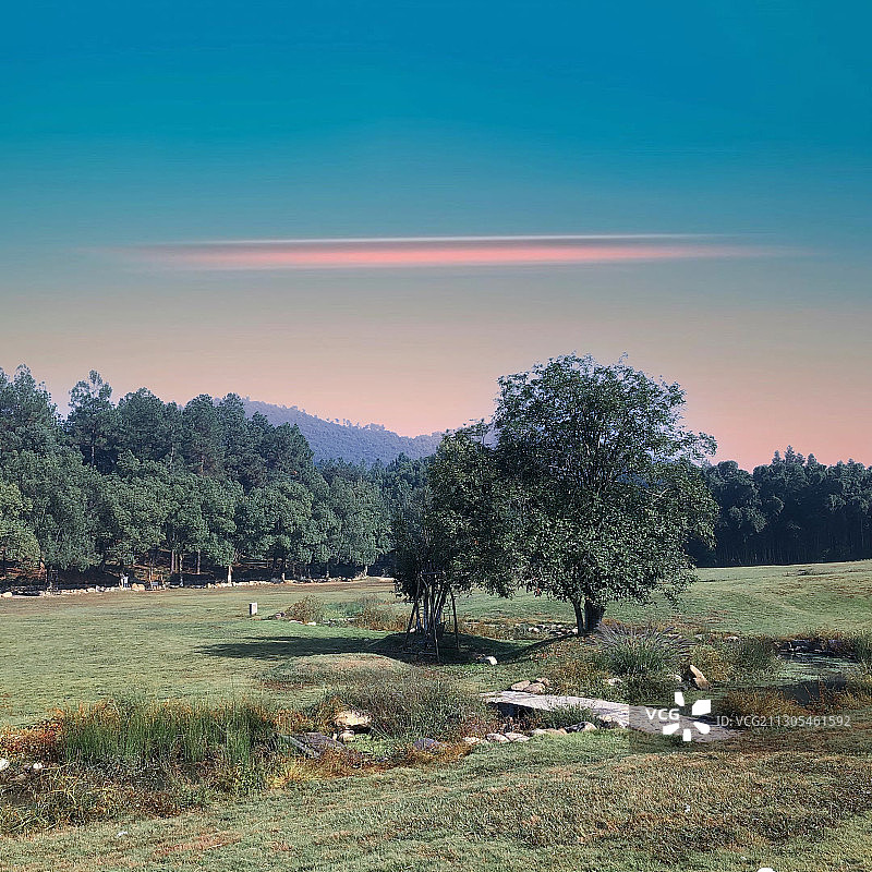 百草园，草坪图片素材