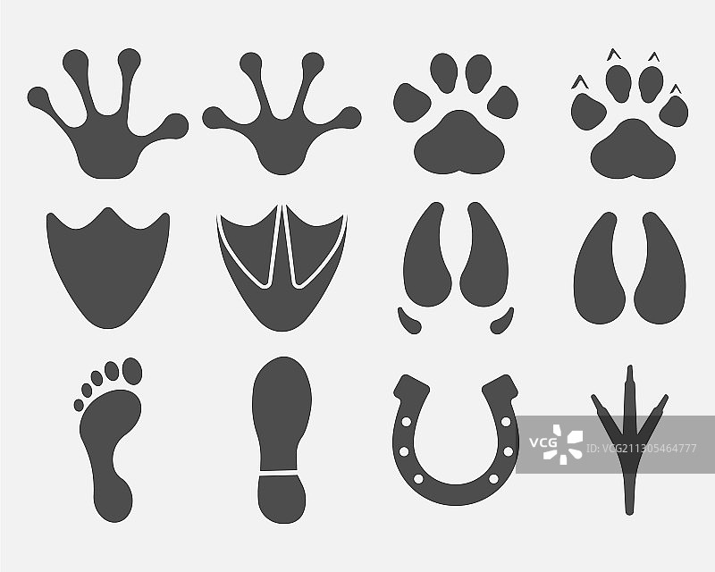 黑色动物和鸟类剪影图片素材