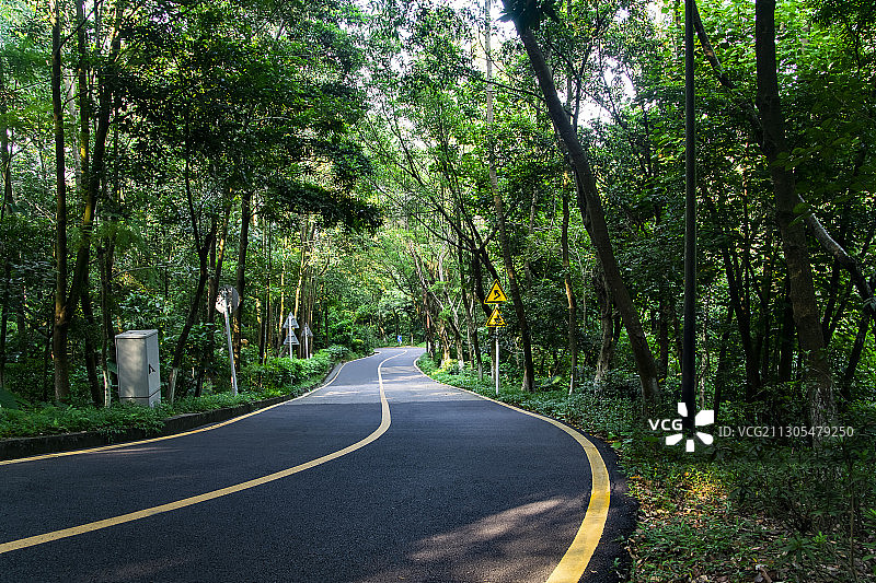 林中道路图片素材