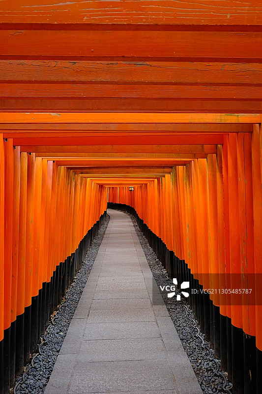 京都伏见稻荷鸟居图片素材