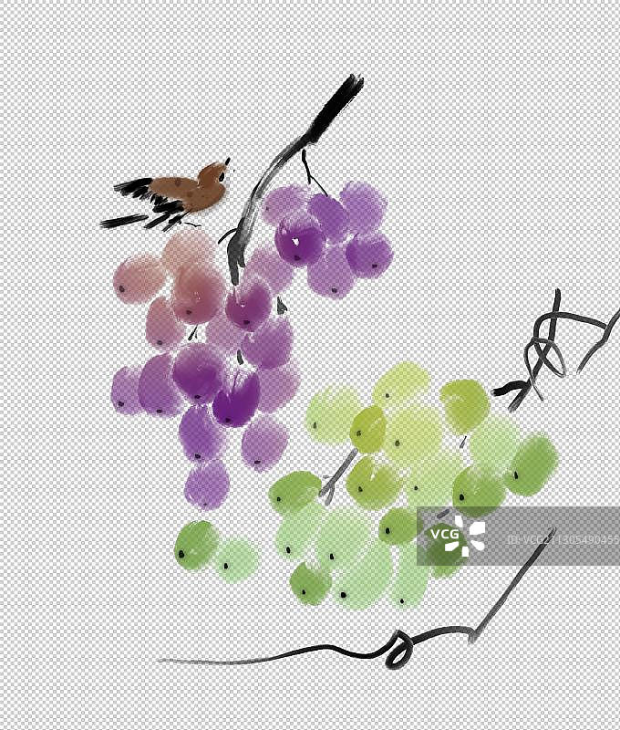 水墨画儿童简笔元素葡萄图片素材