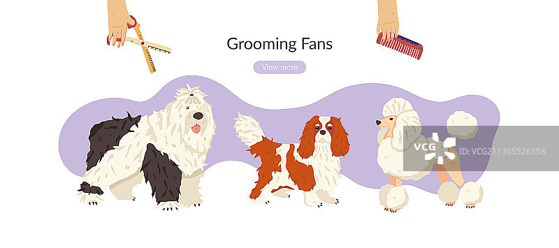 宠物护理扁平风图标图片素材