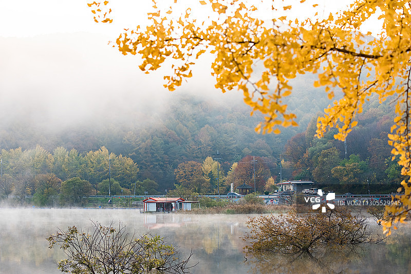 秋日晨雾图片素材
