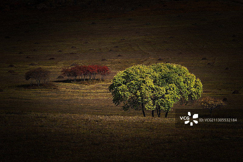 坝上秋韵图片素材
