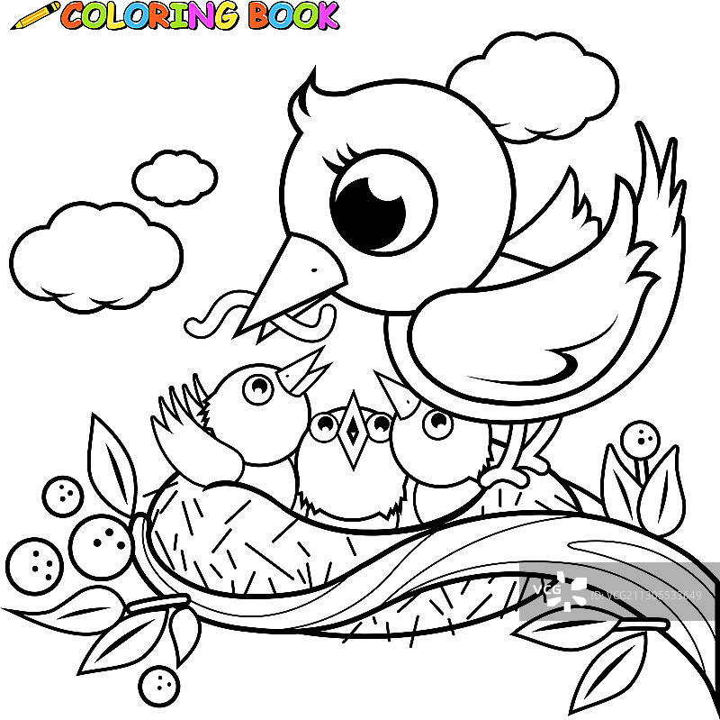 可爱的鸟巢小鸟图片素材