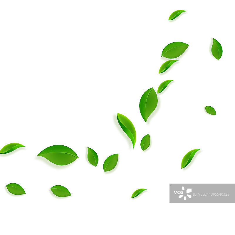 掉落的绿叶，新鲜茶叶飞舞图片素材