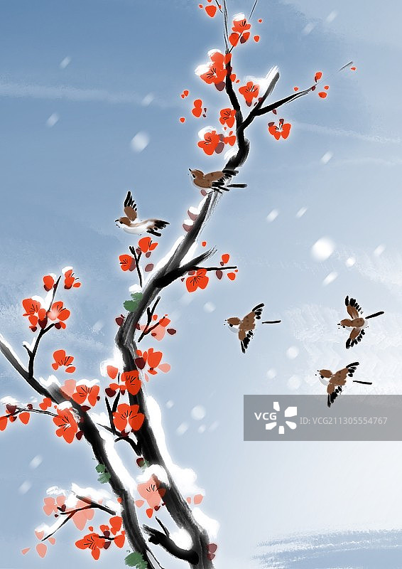 中国风插画梅花麻雀冬季雪景图片素材